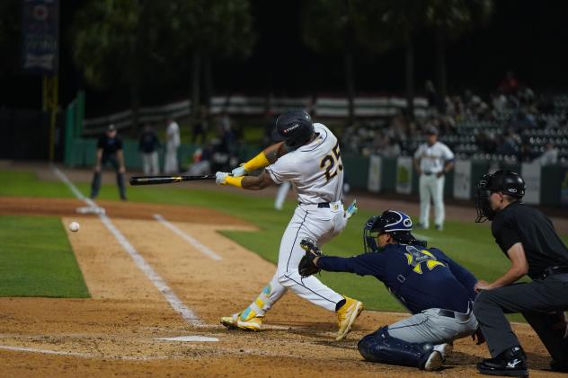 Charleston RiverDogs outfielder Brailer Guerrero at the plate