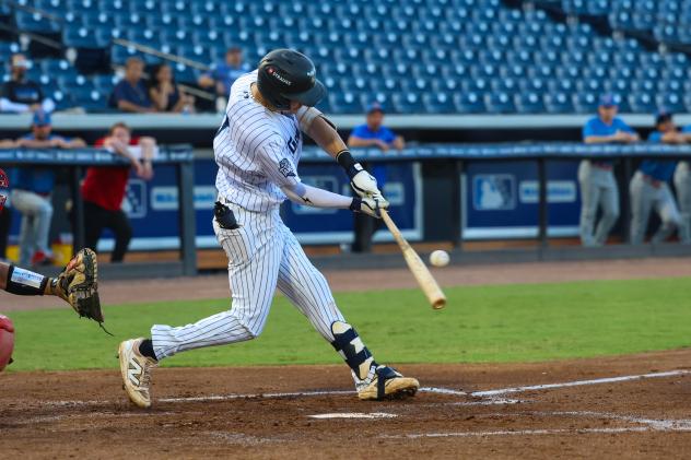 Tampa Tarpons at bat