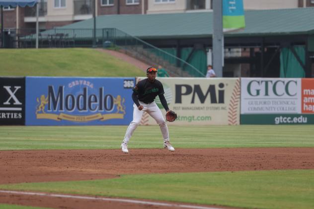 Greensboro Grasshoppers on game night