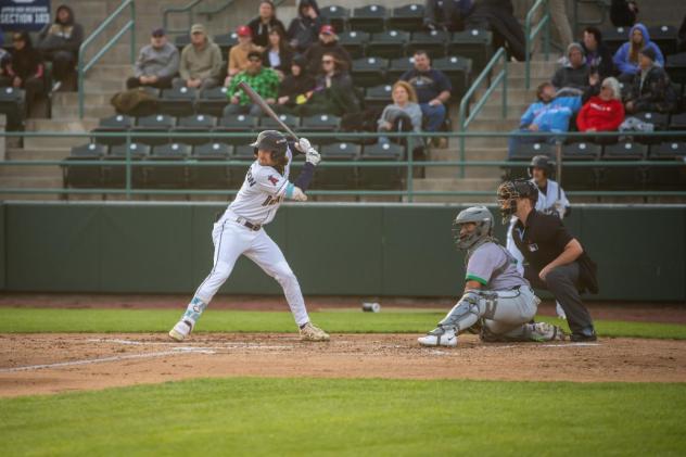 Tri-City Dust Devils first baseman Ryan Nicholson at bat