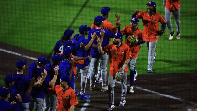 St. Lucie Mets exchange high fives after a win