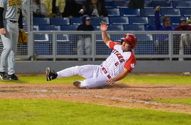 Ottawa Titans outfielder Chris Davis slides home