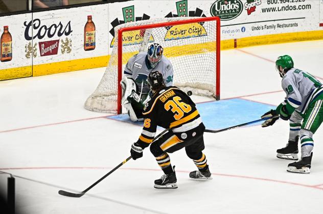 Wheeling Nailers' Max Graham and Florida Everblades' Cam Johnson and Zach Berzolla on the ice