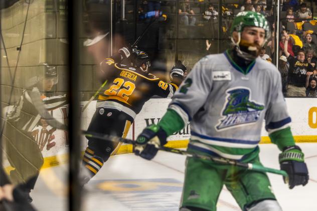 Florida Everblades' Cole Moberg and Wheeling Nailers' Matthew Quercia on game night