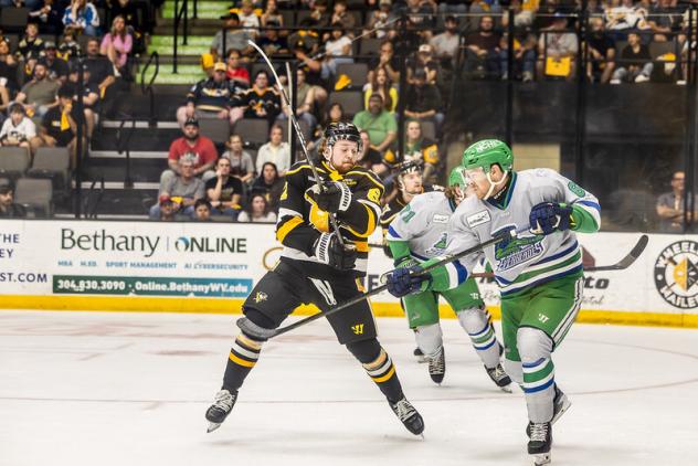 Florida Everblades battle the Wheeling Nailers