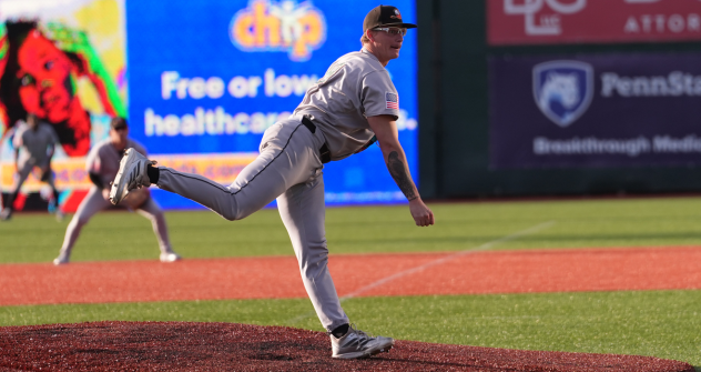 Long Island Ducks on the mound
