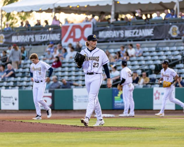 Charleston RiverDogs pitcher Dominic Fritton
