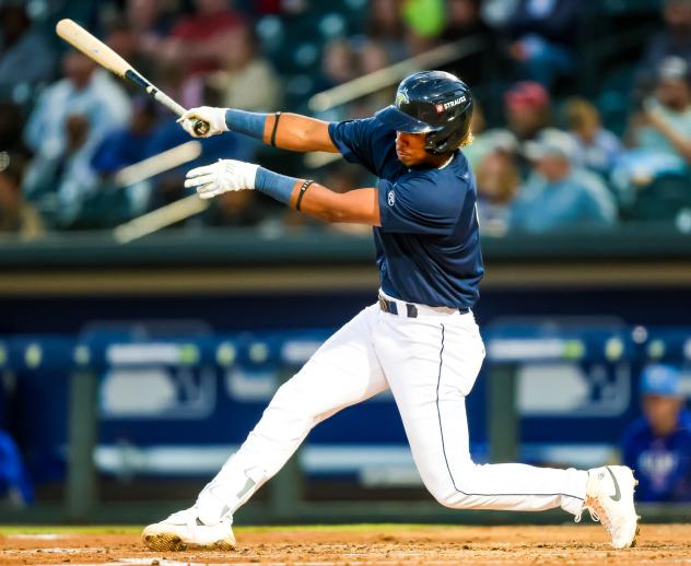 Columbia Fireflies' Yandel Ricardo in action