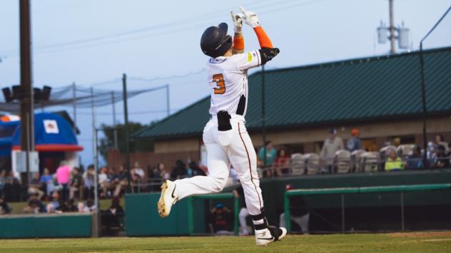 Down East Bird Dawgs outfielder Jacob Corson