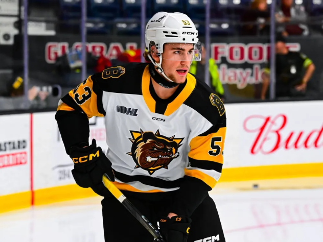 Forward Parker with the Brantford Bulldogs