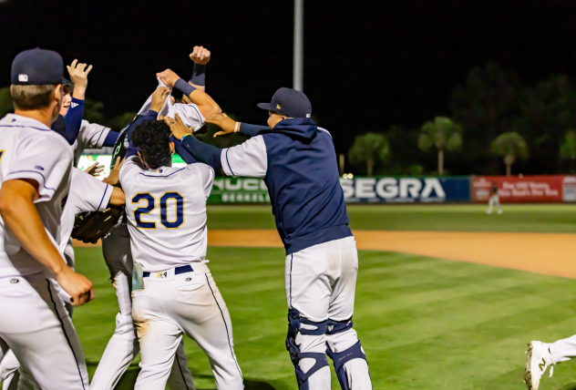 Charleston RiverDogs mob Brady Marget