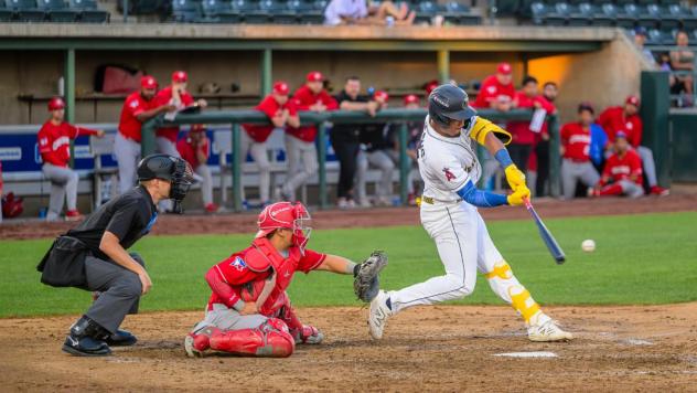Tri-City Dust Devils outfielder Randy De Jesus