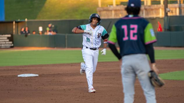 Hickory Crawdads infielder Luis Marquez