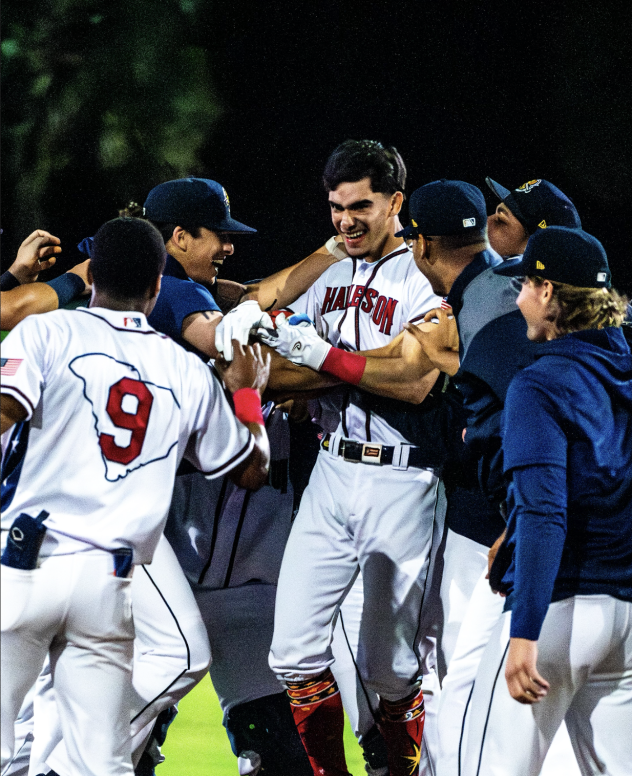 Charleston RiverDogs on game night