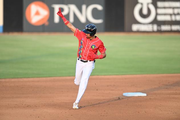 Fayetteville Woodpeckers' Anthony Huezo