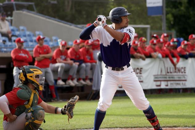 Victoria HarbourCats at bat