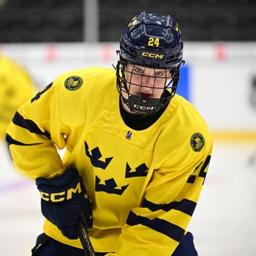 Defenseman Axel Brøngel-Larsson