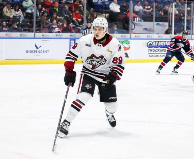 Simon Belohorsky with the Guelph Storm