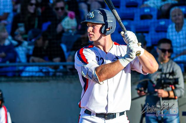 Victoria HarbourCats' Rohne Klein at bat