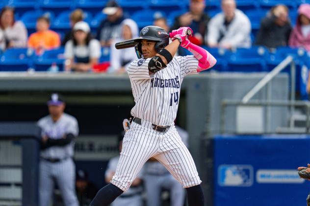 Hudson Valley Renegades outfielder Wilson Rodriguez