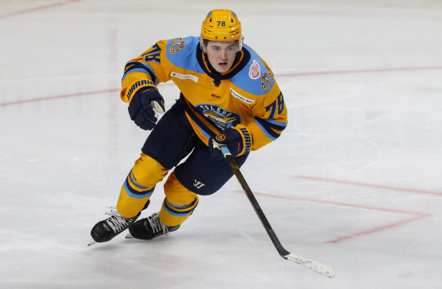 Forward Tanner Kelly with the Toledo Walleye