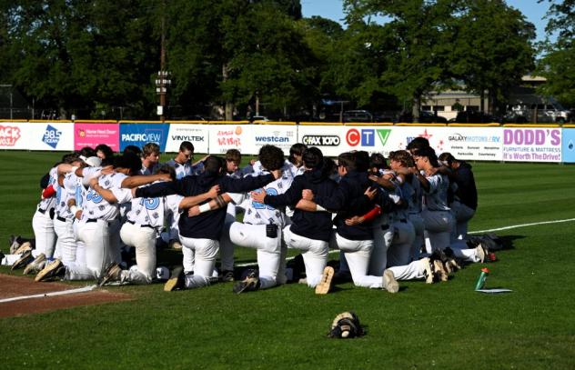 Victoria HarbourCats on game night