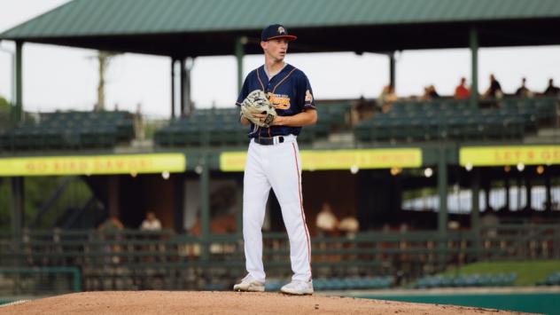 Down East Bird Dawgs pitcher Drew Henderson