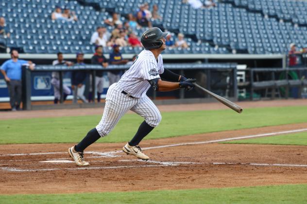 Tampa Tarpons' Luis Escudero in action
