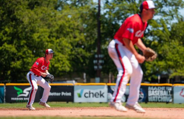 Victoria HarbourCats on game day