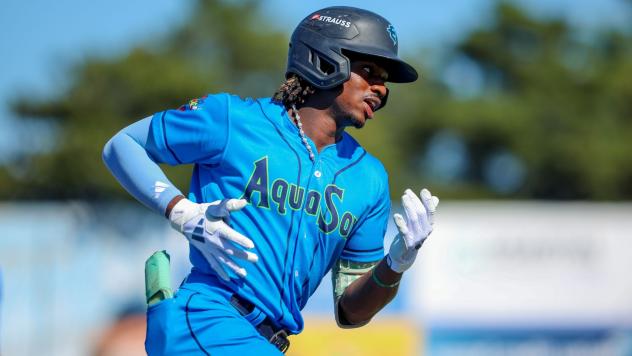 Everett AquaSox shortstop Felnin Celesten