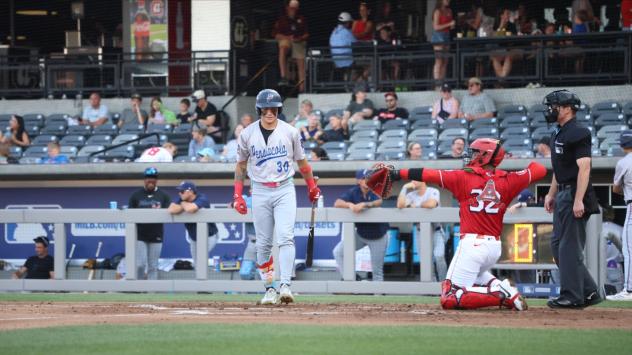 Pensacola Blue Wahoos outfielder Cam Cannarella