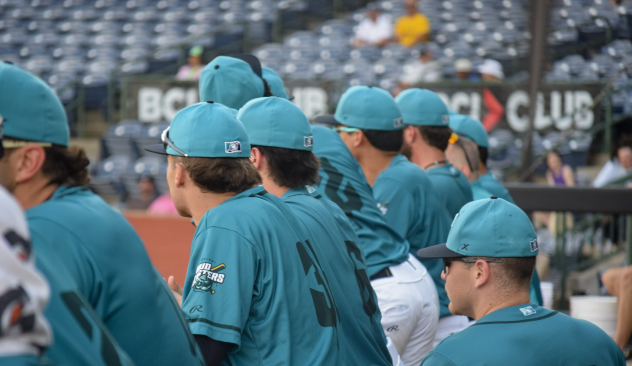 Mississippi Mud Monsters watch the action from the dugout