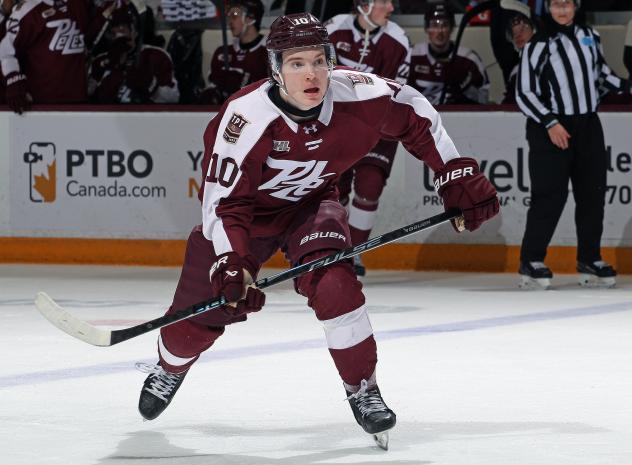 Peterborough Petes forward Adam Levac