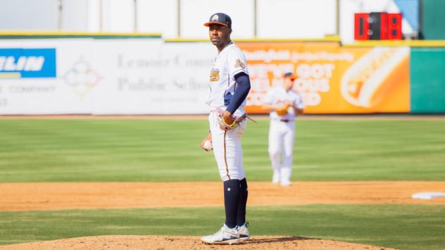 Down East Bird Dawgs' Rolando Heredia-Bustos on the mound