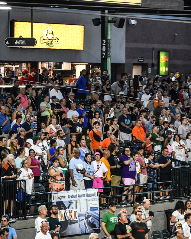 A big crowd at Fairfield Properties Ballpark to watch the Long Island Ducks