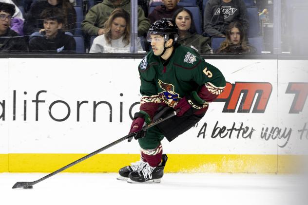 Tucson Roadrunners defenseman Robbie Russo
