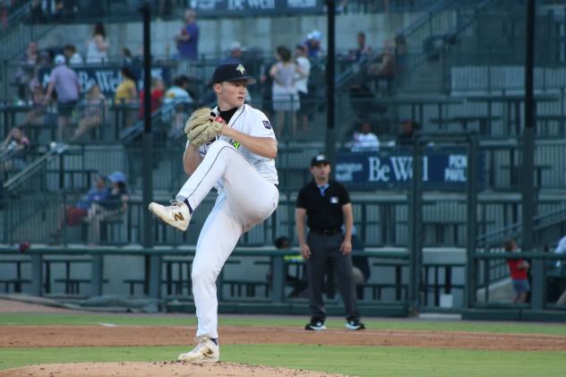 Columbia Fireflies' Michael Lombardi in action