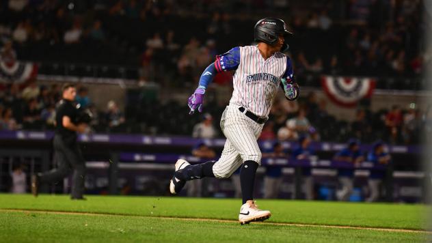 Somerset Patriots' Kevin Verde in action