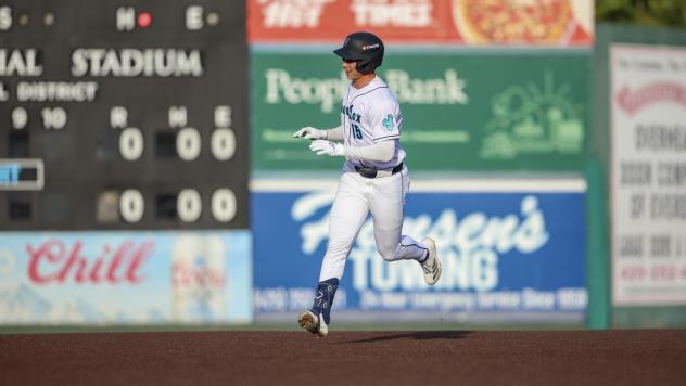 Everett AquaSox' Jonny Farmelo on game night