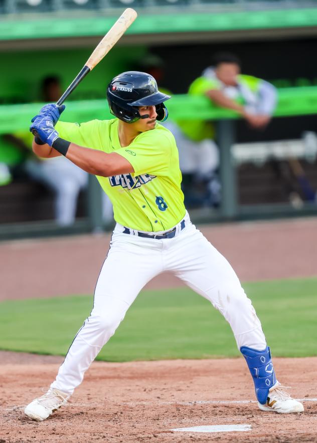 Ήττα Zue Homers στο Fireflies με 14-5
