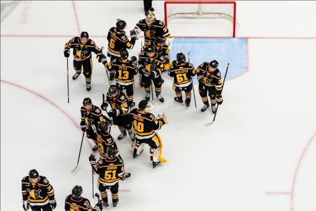 Wheeling Nailers exchange congratulations following a win