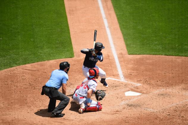 Miguel Palma of the Somerset Patriots at bat