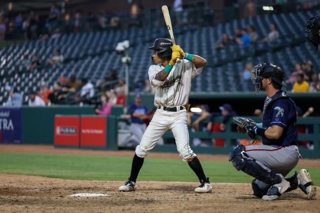 Greensboro Grasshoppers designated hitter Dylan Palmer