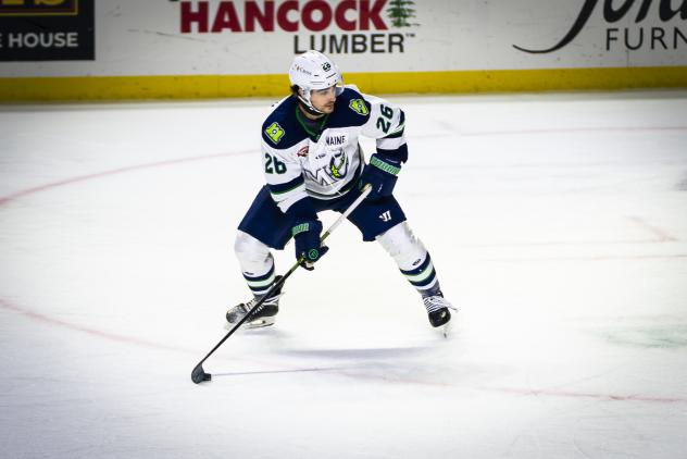 Maine Mariners defenseman Nick Anderson