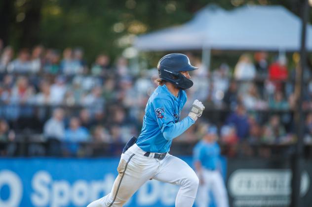St. Cloud Rox' Tanner Recchio in action