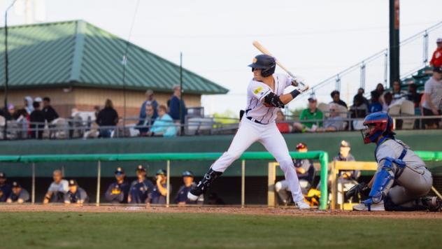 Down East Bird Dawgs at bat
