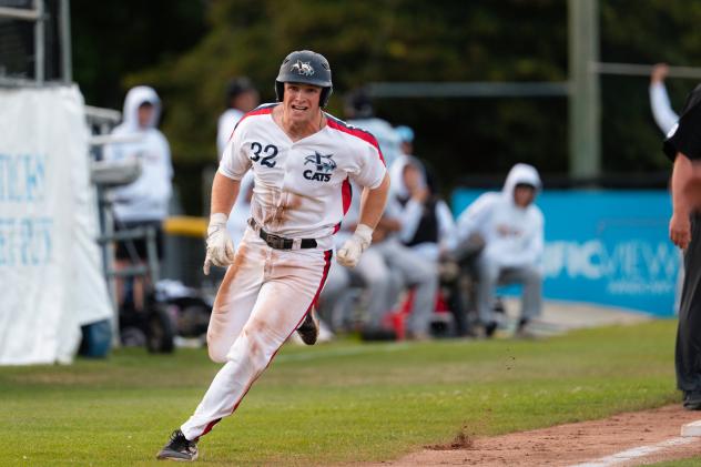 Victoria HarbourCats' Rohne Klein in action