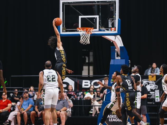 Edmonton Stingers go up for a dunk