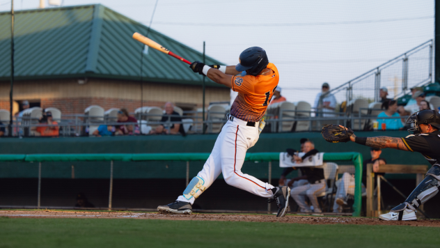 Down East Bird Dawgs utility player Yeniel Laboy