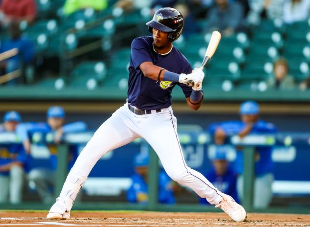 Yandel Ricardo of the Columbia Fireflies